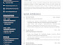 make a professionally designed CV, resume
